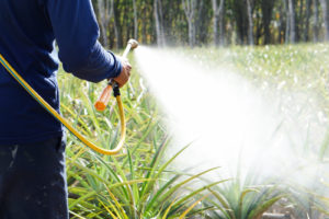 Roundup® Weed Killer Found to Cause Cancer