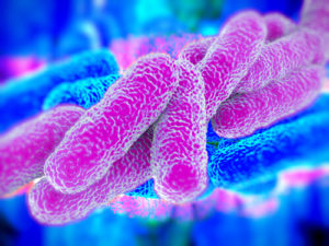 Legionnaires’ Disease/Legionella Pneumophila