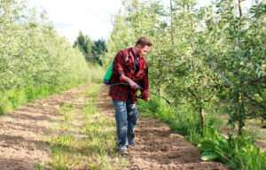 Roundup® Weed Killer / Cancer