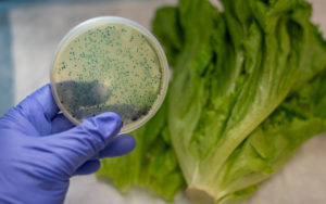 Harford, P.C. Featured in Bloomberg Law news for E Coli Settlement Lawsuit.