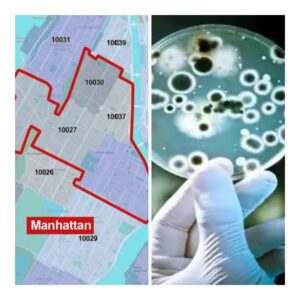 Legionella Outbreak Cluster Found in Central Harlem